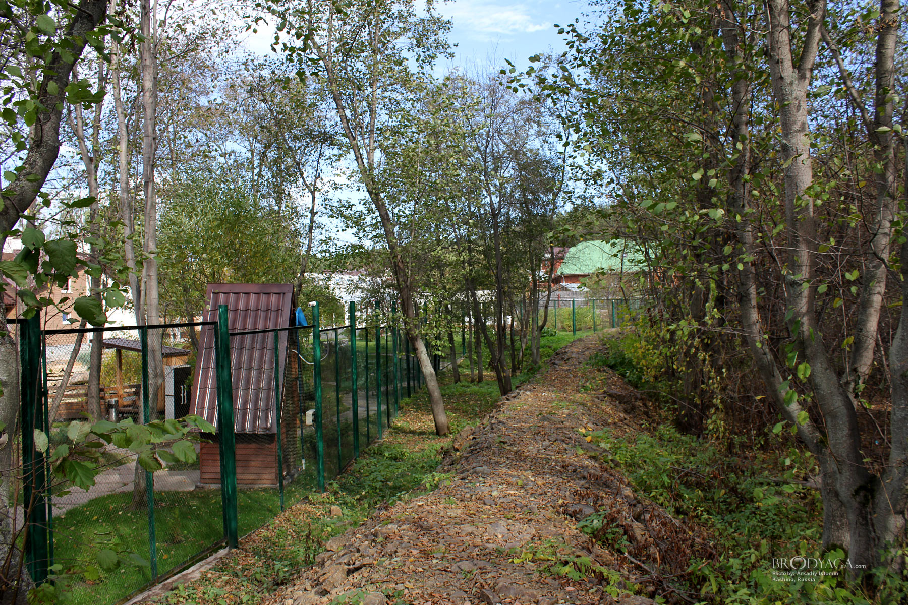 Kashino (Кашино)